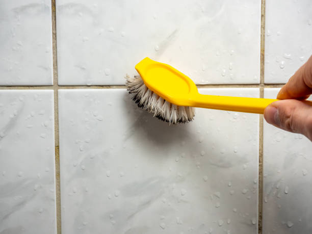 Best Mold Testing and Removal  in Kensington, CA