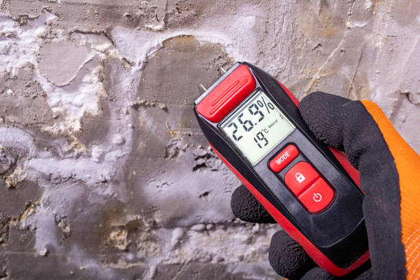 Best Mold Testing  in Kensington, CA