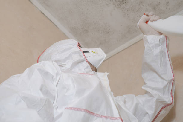 Best Professional Mold Removal  in Kensington, CA