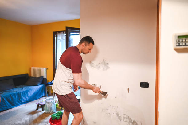  Kensington, CA Mold Removal Pros